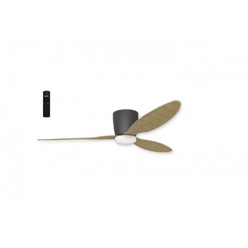 Бра Zuma Line GENT P20084-1R