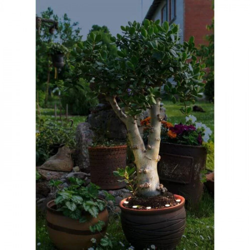 Світильник вуличний Eglo 65071 SUESA