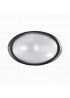 Настінний вуличний світильник Ideal Lux MIKE 061818