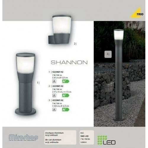 Настінний вуличний світильник TRIO SHANNON 222060142