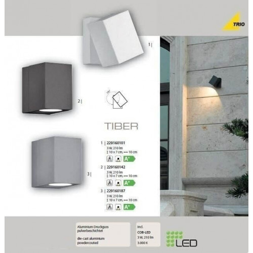 Настінний вуличний світильник TRIO TIBER 229160101