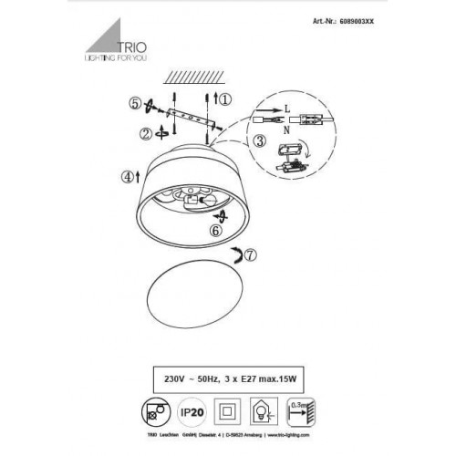 Люстра Trio BARONESS 608900342