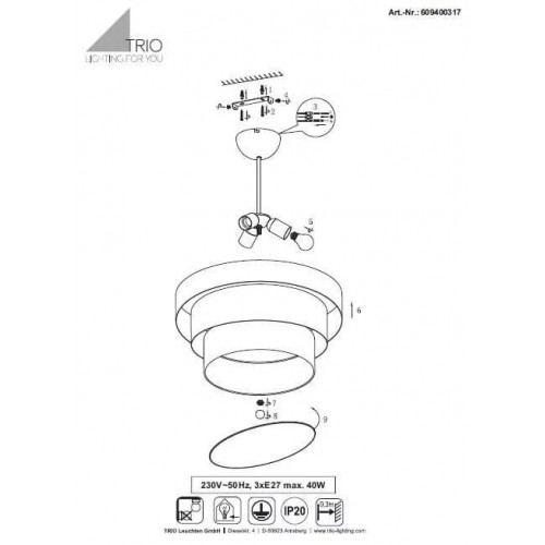 Люстра Trio IBIS 609400317