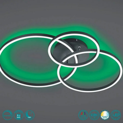 Люстра Trio WINONA 670810632