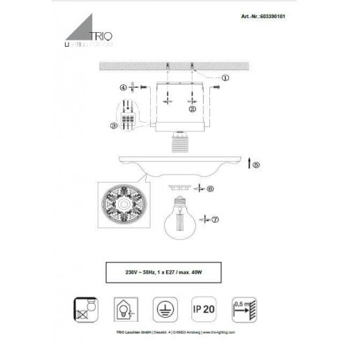 Люстра TRIO LILLY 603390101