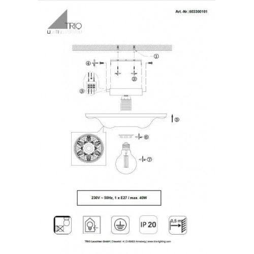 Люстра Trio LILLY 603300101