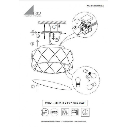 Люстра Trio ZANDOR 603500332