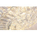 Люстра MAXlight CHOPIN C0132