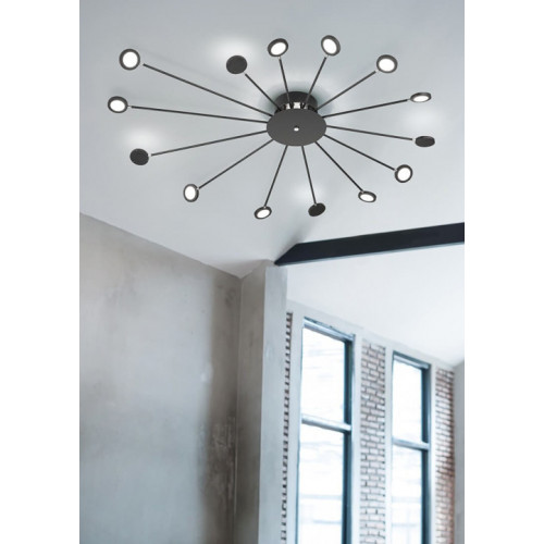 Люстра Trio PEACOCK 679511532