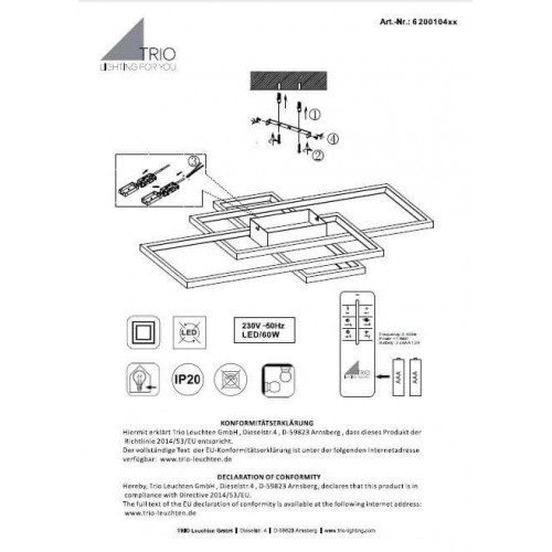 Люстра Trio IRVINE 620010407