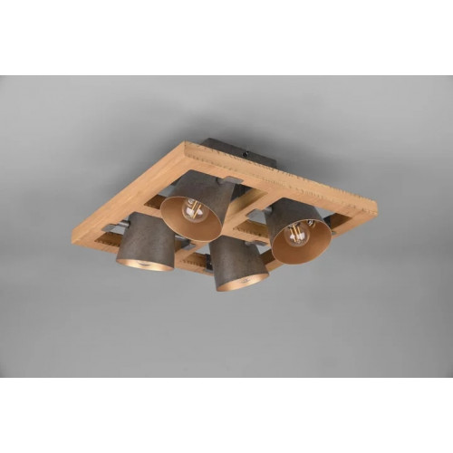 Стельовий світильник Trio SALINAS 620310308