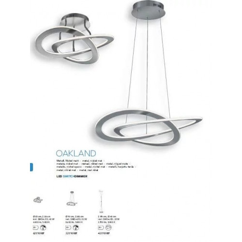 Люстра Trio OAKLAND 621710107