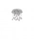 Люстра Ideal Lux MOONLIGHT 094649