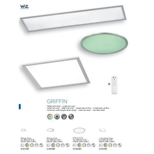 Стельовий світильник Trio GRIFFIN 657413007