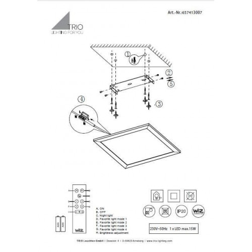 Стельовий світильник Trio GRIFFIN 657413007