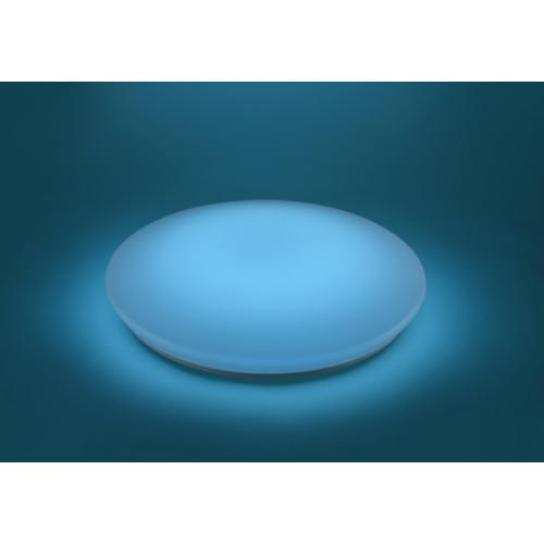 Стельовий світильник Trio CHARLY 656010100