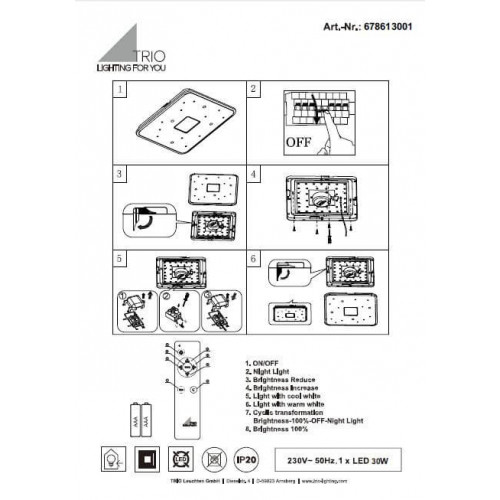 Стельовий світильник TRIO RAIKO 678613001