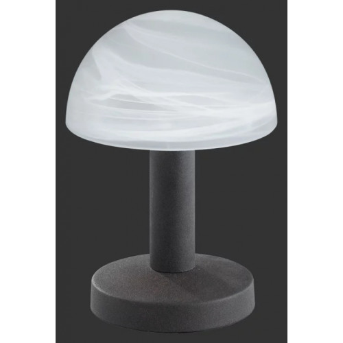 Настільна лампа Trio FYNN 599000124