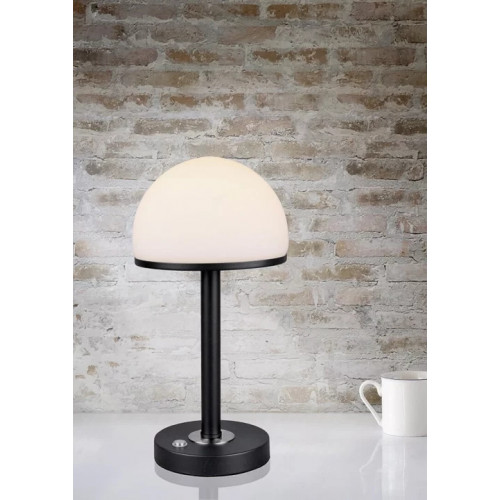 Настільна лампа Trio BERLIN 527590132