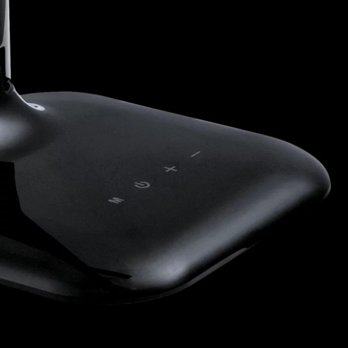 Настільна лампа Eglo CAUPO 93966