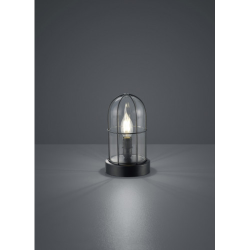 Настільна лампа TRIO BIRTE 503800102