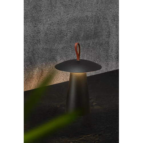 Настільна лампа Searchlight OXFORD EU81712GR