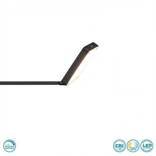 Настільна лампа Trio PAVIA 570310132