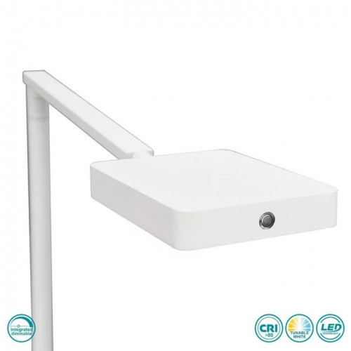 Настільна лампа Trio PAVIA 570310131