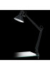 Настільна лампа Eglo FIRMO 90873