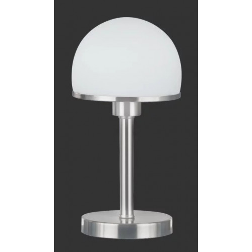 Настільна лампа Trio JOOST 5922011-07