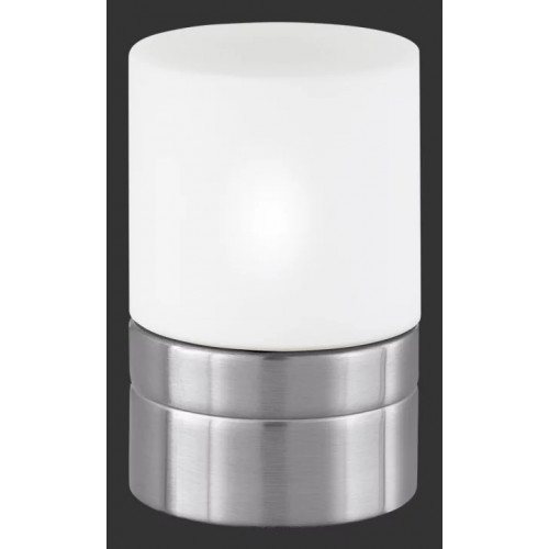 Настільна лампа Trio ARY 5908011-07