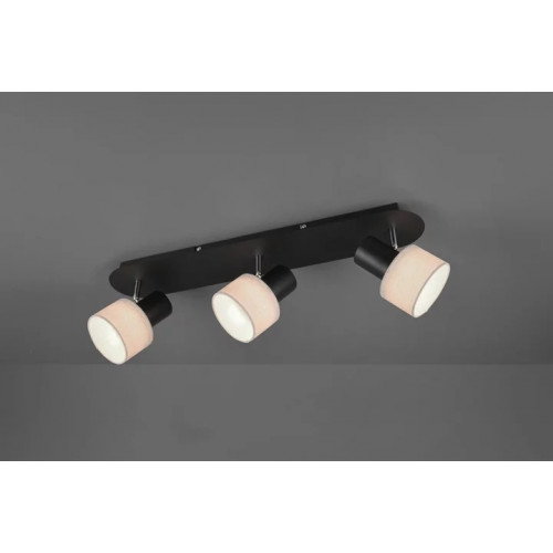 Світильник вуличний Trio 502360124 TANARO