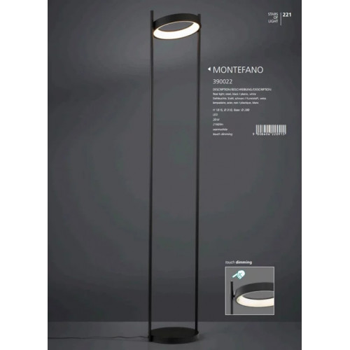 Світильник вуличний Trio 409660130 CANNING