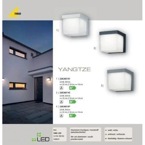 Світильник вуличний Trio 228260142 YANGTZE