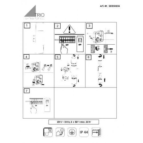 Світильник вуличний Trio 222260224 HOOSIC