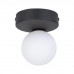 Стельовий світильник TK Lighting BIANCA BLACK 5681