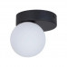 Стельовий світильник TK Lighting BIANCA BLACK 5681