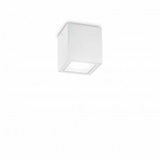 Ideal Lux TECHO 251561