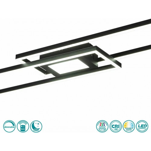 Стельовий світильник Trio GANADO 670710532