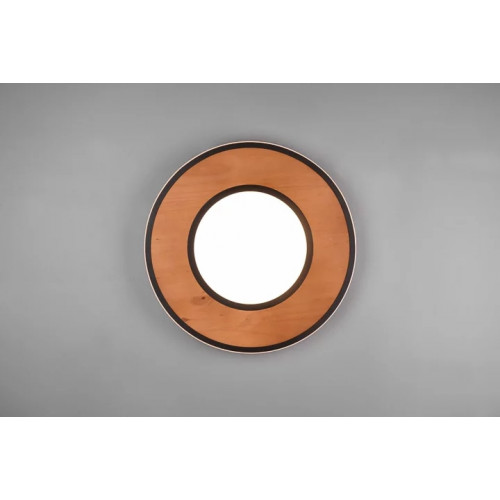 Стельовий світильник Trio DEACON 626610232