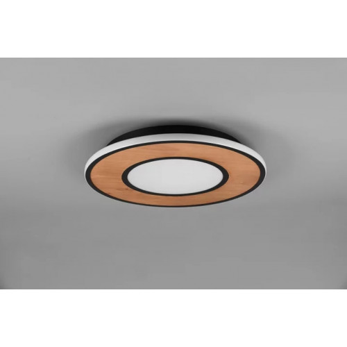 Стельовий світильник Trio DEACON 626610232