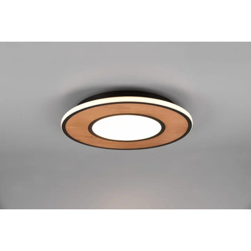 Стельовий світильник Trio DEACON 626610232