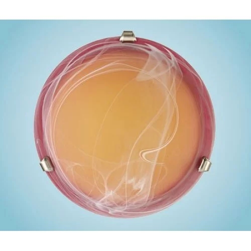 Стельовий світильник Eglo Samoa 27883