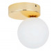 Стельовий світильник TK Lighting BIANCA GOLD 4695