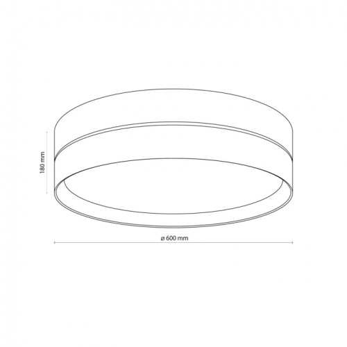 Стельовий світильник TK Lighting ECO 5774