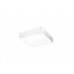 Стельовий світильник AZzardo MONZA SQUARE 40 AZ2272 (SHS56400050WH)