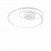 Стельовий світильник Ideal Lux OZ 253688