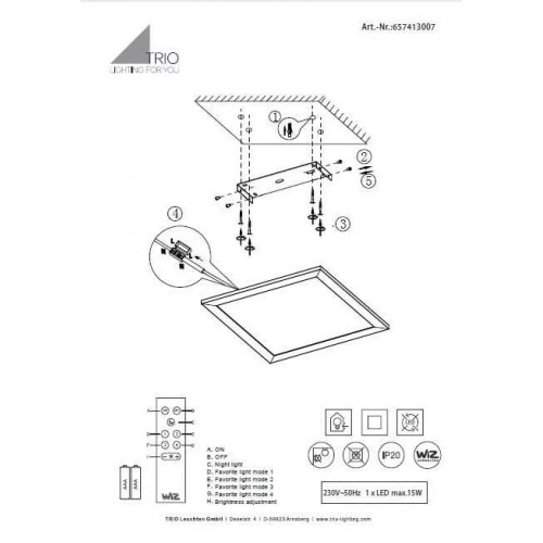 Стельовий світильник Trio GRIFFIN 657413007