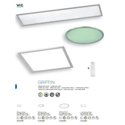 Стельовий світильник Trio GRIFFIN 657413007