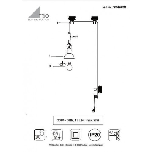 Люстра TRIO CARLOTTA 305170131